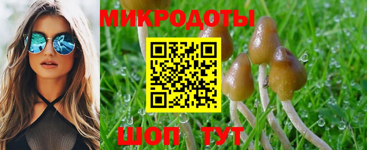 Псилоцибиновые грибы мицелий  Галлюциногенные грибы Magic Shrooms  Отрадное  купить  сайты  Вход с VPN 