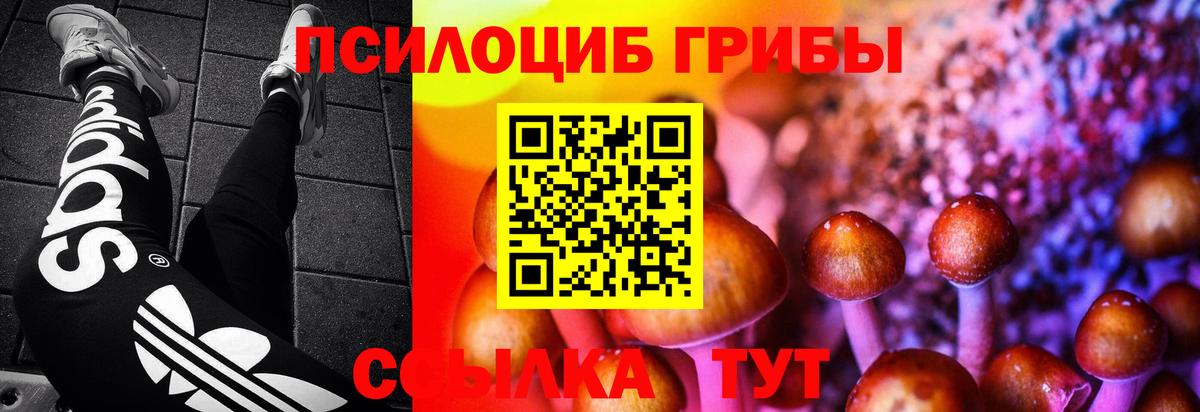Псилоцибиновые грибы MAGIC MUSHROOMS Отрадное